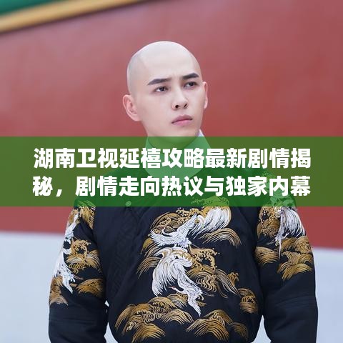 湖南卫视延禧攻略最新剧情揭秘，剧情走向热议与独家内幕曝光