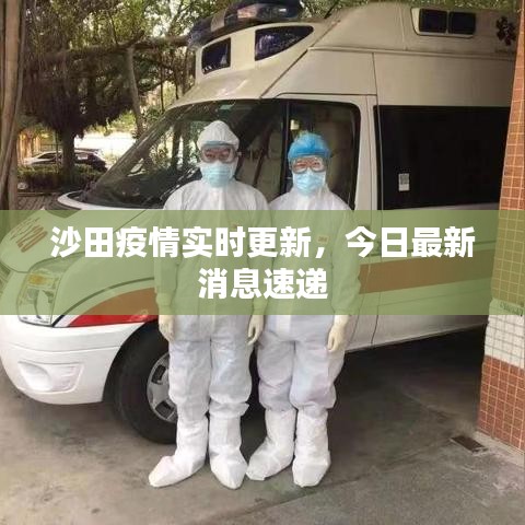 沙田疫情实时更新，今日最新消息速递