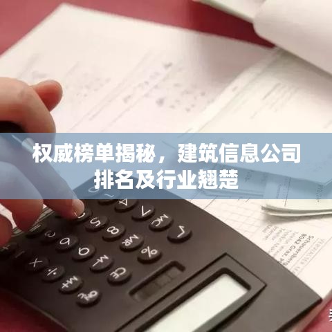 权威榜单揭秘，建筑信息公司排名及行业翘楚