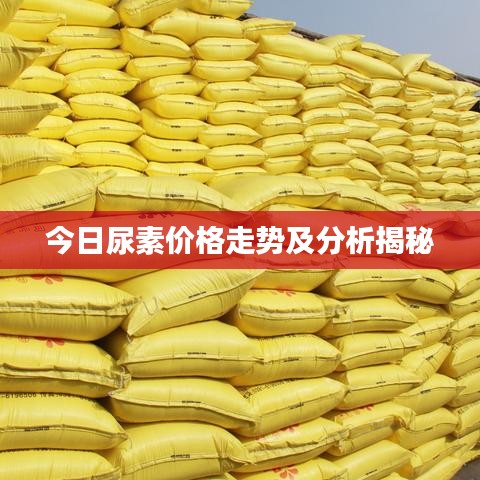 今日尿素价格走势及分析揭秘
