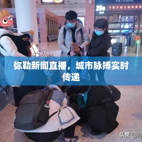 弥勒新闻直播，城市脉搏实时传递