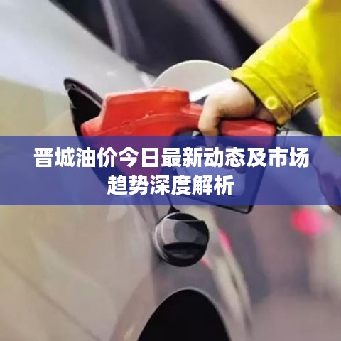 晋城油价今日最新动态及市场趋势深度解析