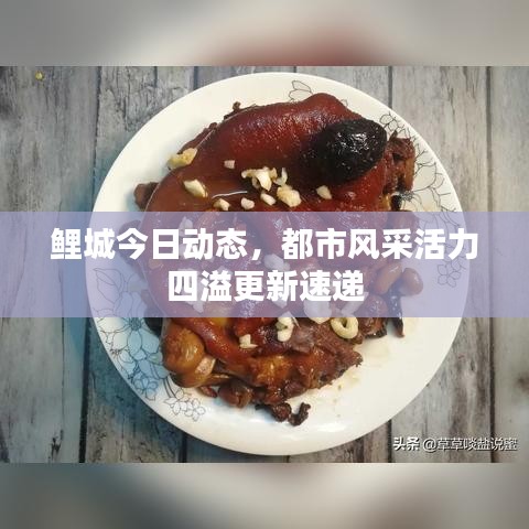 鲤城今日动态，都市风采活力四溢更新速递
