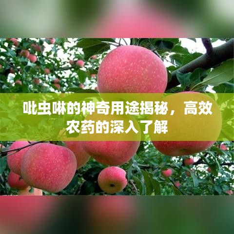 吡虫啉的神奇用途揭秘，高效农药的深入了解