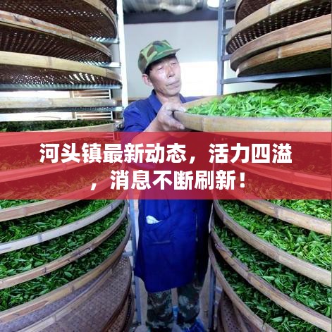 河头镇最新动态，活力四溢，消息不断刷新！