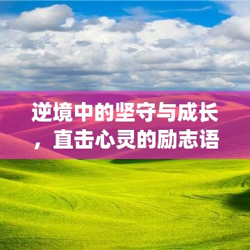 逆境中的坚守与成长，直击心灵的励志语录