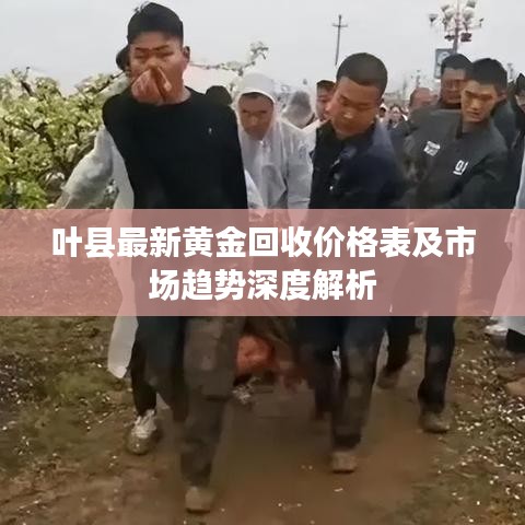 叶县最新黄金回收价格表及市场趋势深度解析