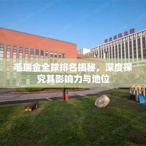毛瑞金全球排名揭秘，深度探究其影响力与地位