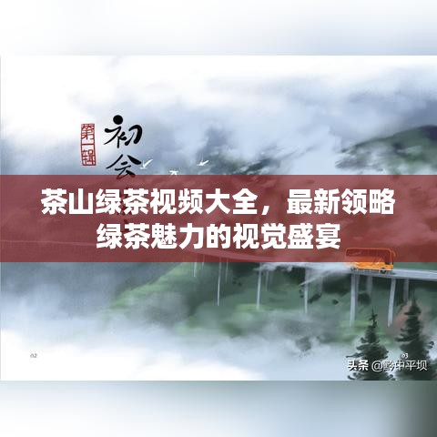茶山绿茶视频大全，最新领略绿茶魅力的视觉盛宴