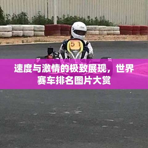 速度与激情的极致展现，世界赛车排名图片大赏