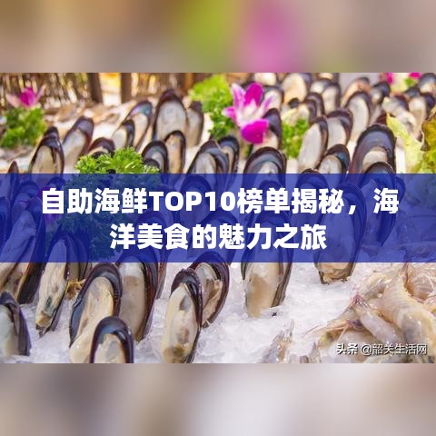 自助海鲜TOP10榜单揭秘，海洋美食的魅力之旅