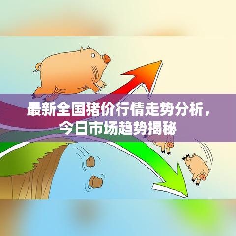 最新全国猪价行情走势分析，今日市场趋势揭秘