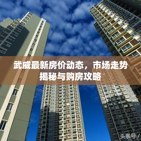 武威最新房价动态，市场走势揭秘与购房攻略