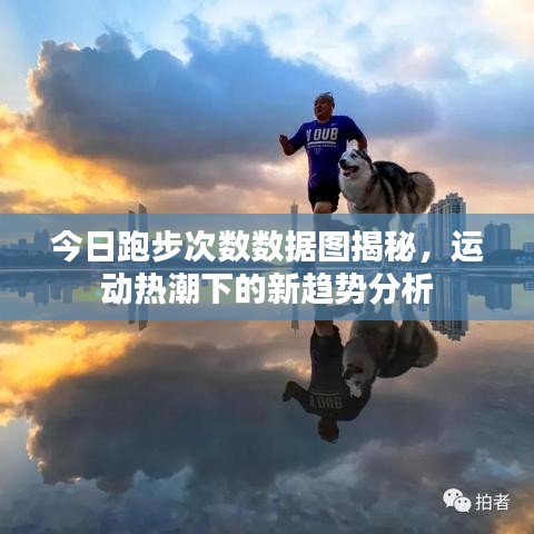 今日跑步次数数据图揭秘，运动热潮下的新趋势分析