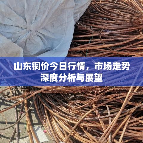 山东铜价今日行情，市场走势深度分析与展望