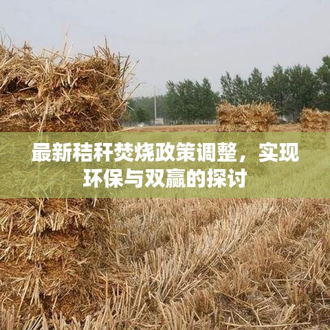 最新秸秆焚烧政策调整，实现环保与双赢的探讨