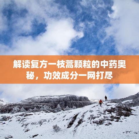 解读复方一枝蒿颗粒的中药奥秘，功效成分一网打尽