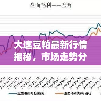 大连豆粕最新行情揭秘，市场走势分析与预测