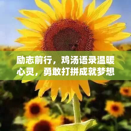 励志前行，鸡汤语录温暖心灵，勇敢打拼成就梦想