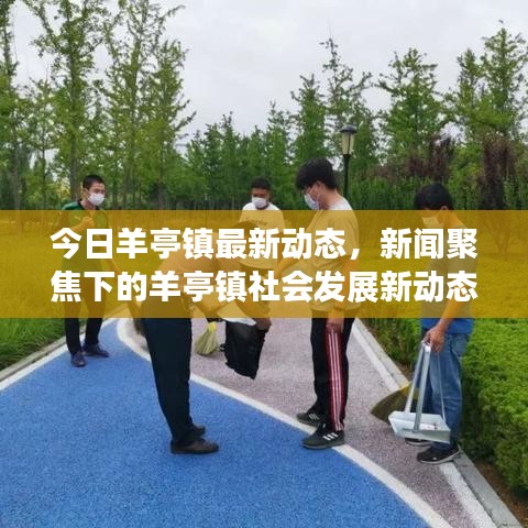 今日羊亭镇最新动态，新闻聚焦下的羊亭镇社会发展新动态