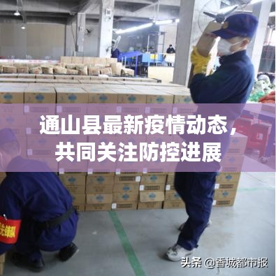 通山县最新疫情动态，共同关注防控进展