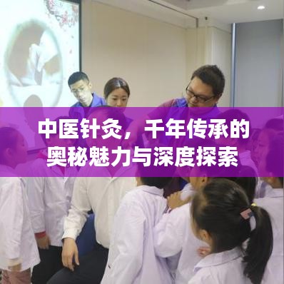 中医针灸，千年传承的奥秘魅力与深度探索