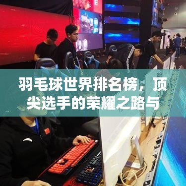羽毛球世界排名榜，顶尖选手的荣耀之路与奋斗历程
