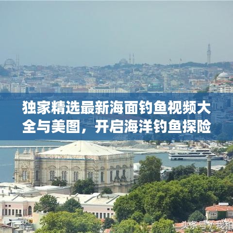 独家精选最新海面钓鱼视频大全与美图，开启海洋钓鱼探险之旅！