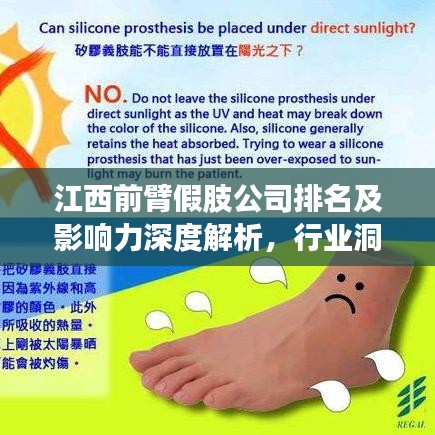 江西前臂假肢公司排名及影响力深度解析，行业洞察报告