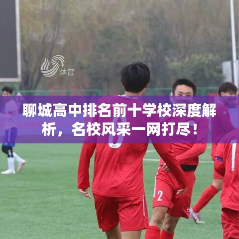 聊城高中排名前十学校深度解析，名校风采一网打尽！