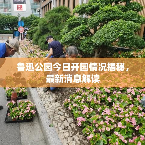 鲁迅公园今日开园情况揭秘，最新消息解读
