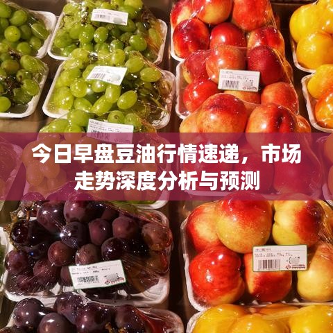 今日早盘豆油行情速递，市场走势深度分析与预测