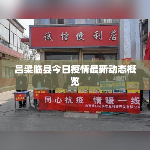 吕梁临县今日疫情最新动态概览