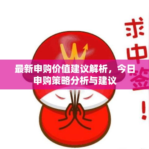 最新申购价值建议解析，今日申购策略分析与建议