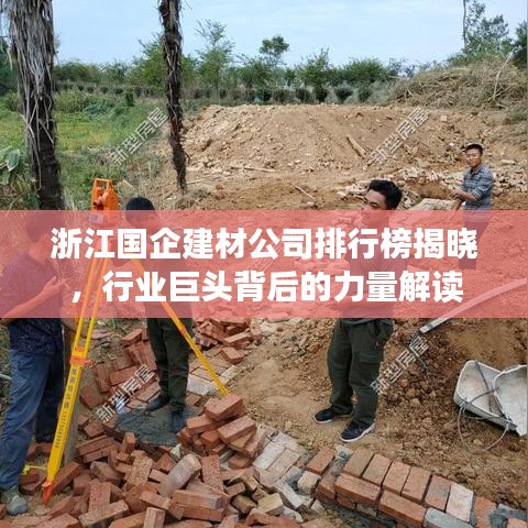 浙江国企建材公司排行榜揭晓，行业巨头背后的力量解读