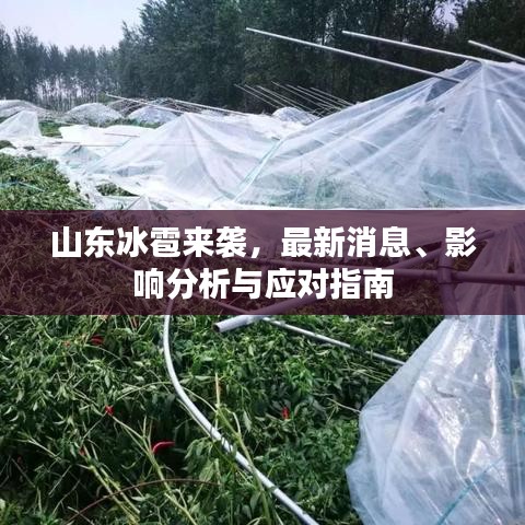 山东冰雹来袭，最新消息、影响分析与应对指南