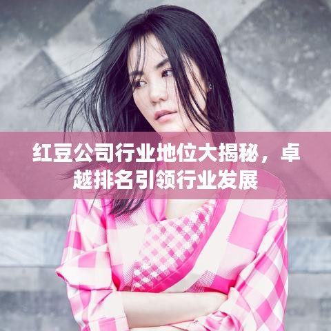 红豆公司行业地位大揭秘，卓越排名引领行业发展