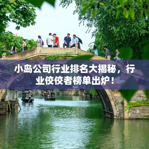 小岛公司行业排名大揭秘，行业佼佼者榜单出炉！