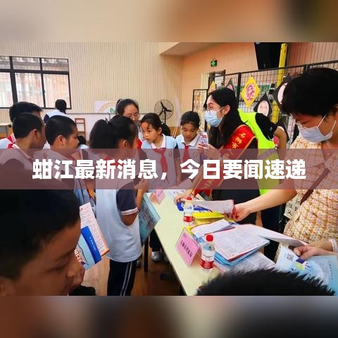 蚶江最新消息，今日要闻速递