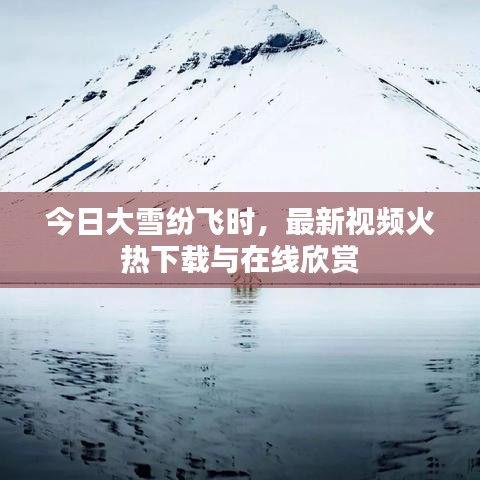 今日大雪纷飞时，最新视频火热下载与在线欣赏