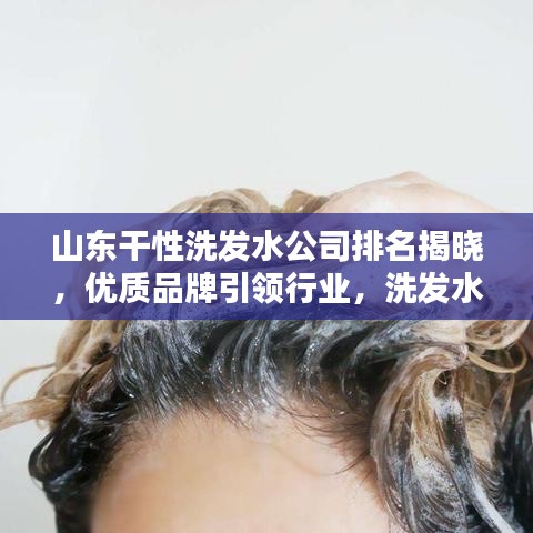 山东干性洗发水公司排名揭晓，优质品牌引领行业，洗发水新潮流大揭秘！