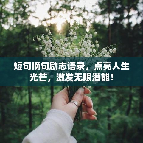 短句摘句励志语录，点亮人生光芒，激发无限潜能！