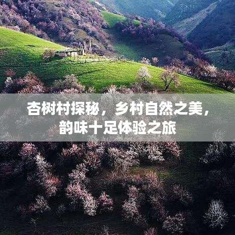 杏树村探秘，乡村自然之美，韵味十足体验之旅