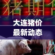 大连猪价最新动态，今日市场走势分析