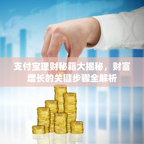 支付宝理财秘籍大揭秘，财富增长的关键步骤全解析