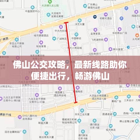 佛山公交攻略，最新线路助你便捷出行，畅游佛山