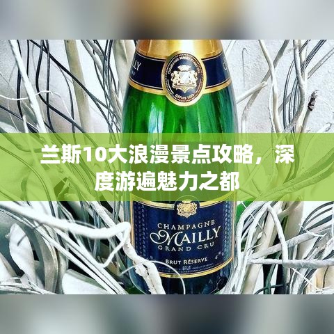兰斯10大浪漫景点攻略，深度游遍魅力之都