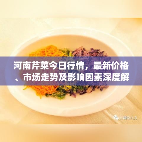 河南芹菜今日行情，最新价格、市场走势及影响因素深度解析