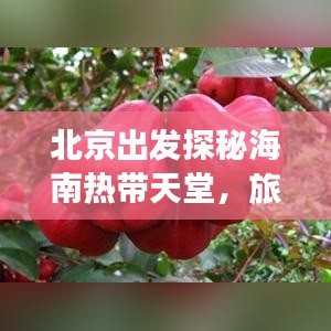 北京出发探秘海南热带天堂，旅游攻略尽享无限魅力