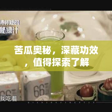 苦瓜奥秘，深藏功效，值得探索了解